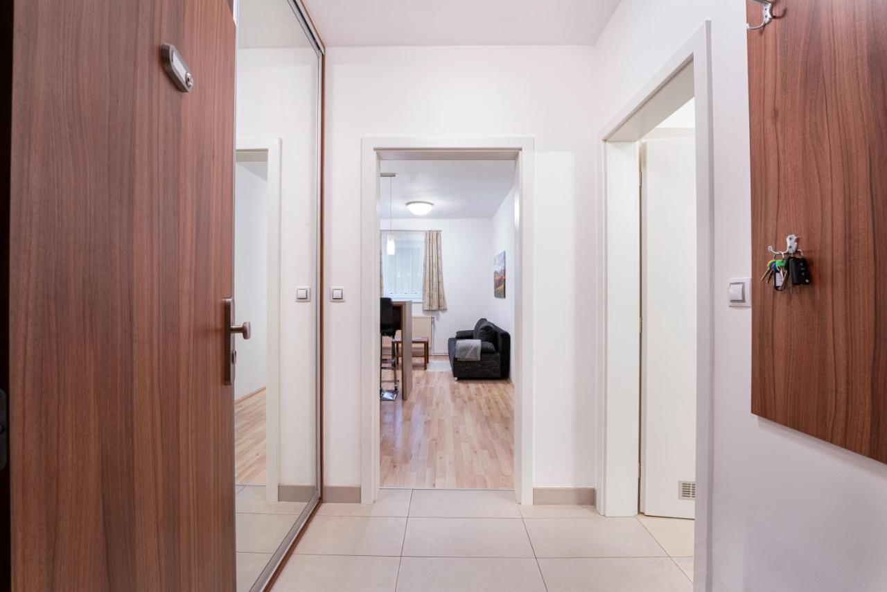 Depandance Marnet Sneznik Apartment Dolní Morava Exterior photo